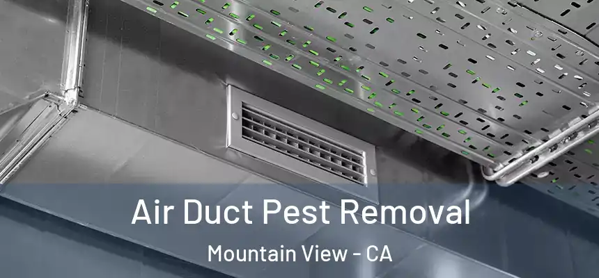 Air Duct Pest Removal Mountain View - CA