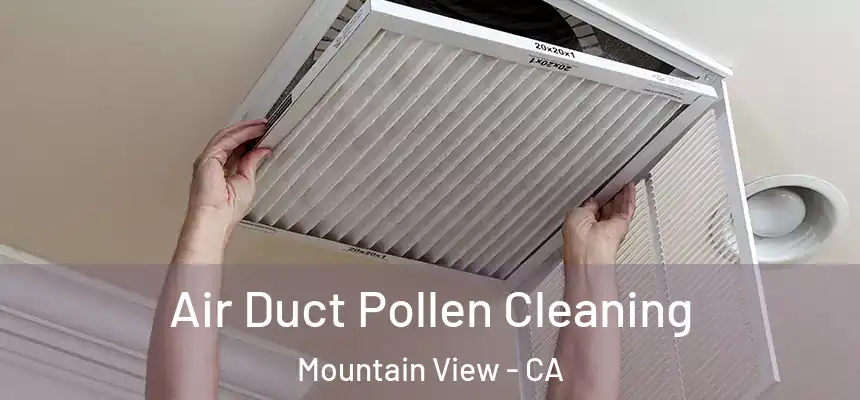 Air Duct Pollen Cleaning Mountain View - CA