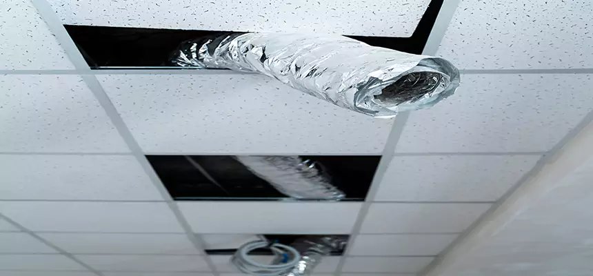 Our Air Duct Pet Hair Removal Services in Mountain View, CA