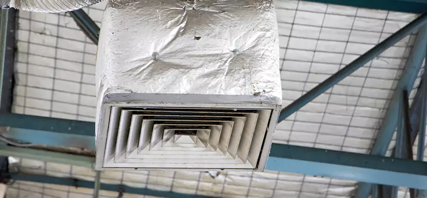 Our HVAC Mold Remediation Service Services in Mountain View, CA