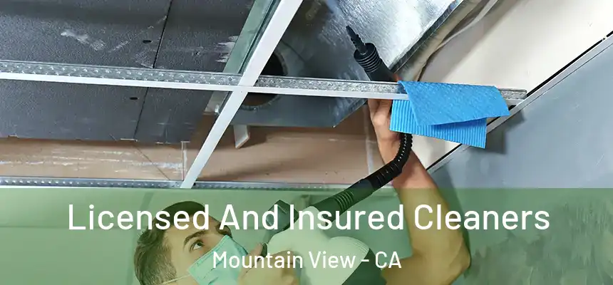 Licensed And Insured Cleaners Mountain View - CA