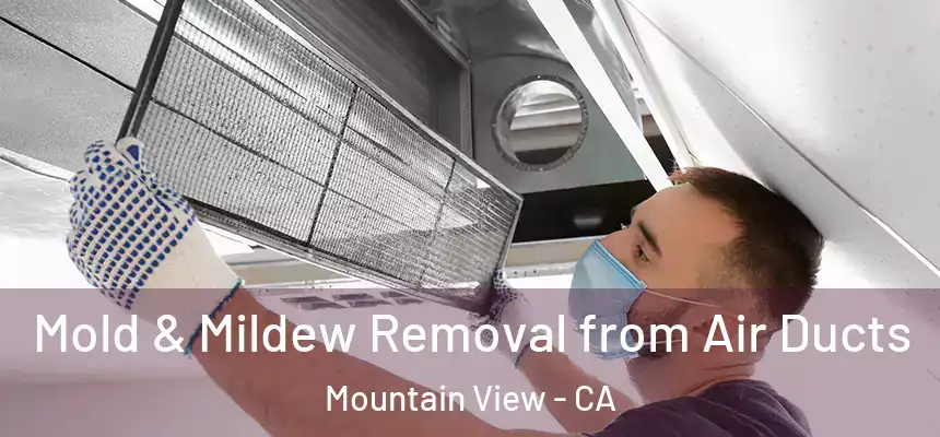Mold & Mildew Removal from Air Ducts Mountain View - CA