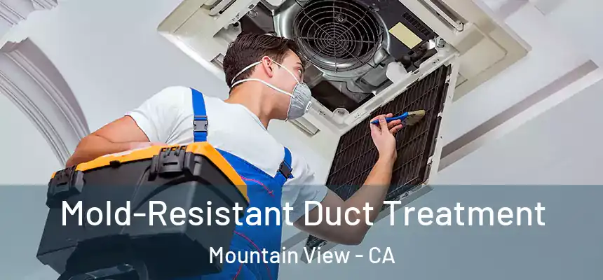 Mold-Resistant Duct Treatment Mountain View - CA