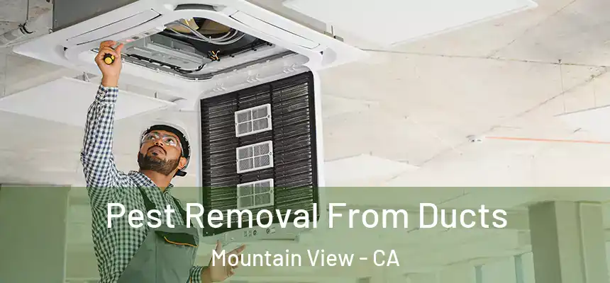 Pest Removal From Ducts Mountain View - CA