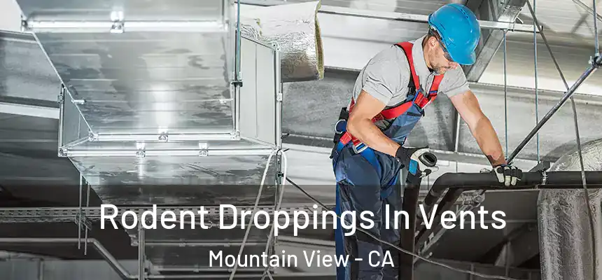 Rodent Droppings In Vents Mountain View - CA