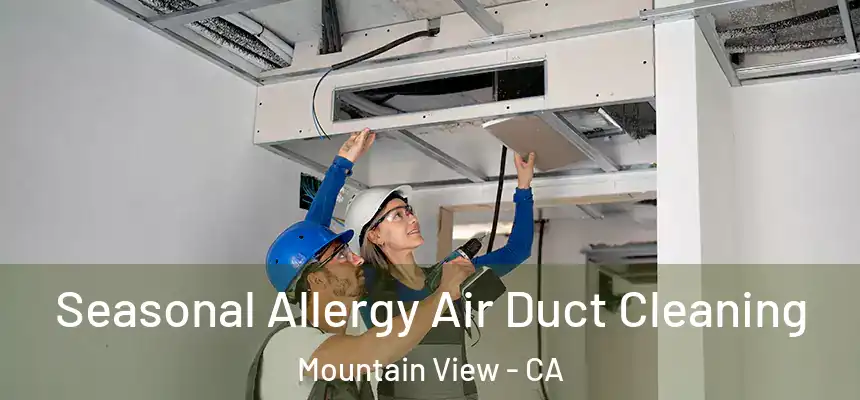 Seasonal Allergy Air Duct Cleaning Mountain View - CA