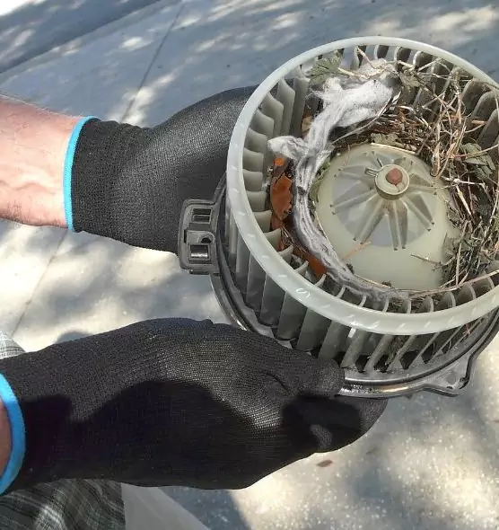 About Air Duct Mice Removal in Mountain View, CA